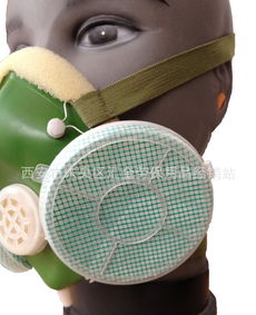 防塵口罩、噴漆防護口罩等勞保用品綜合指南 價格、廠家與選購要點